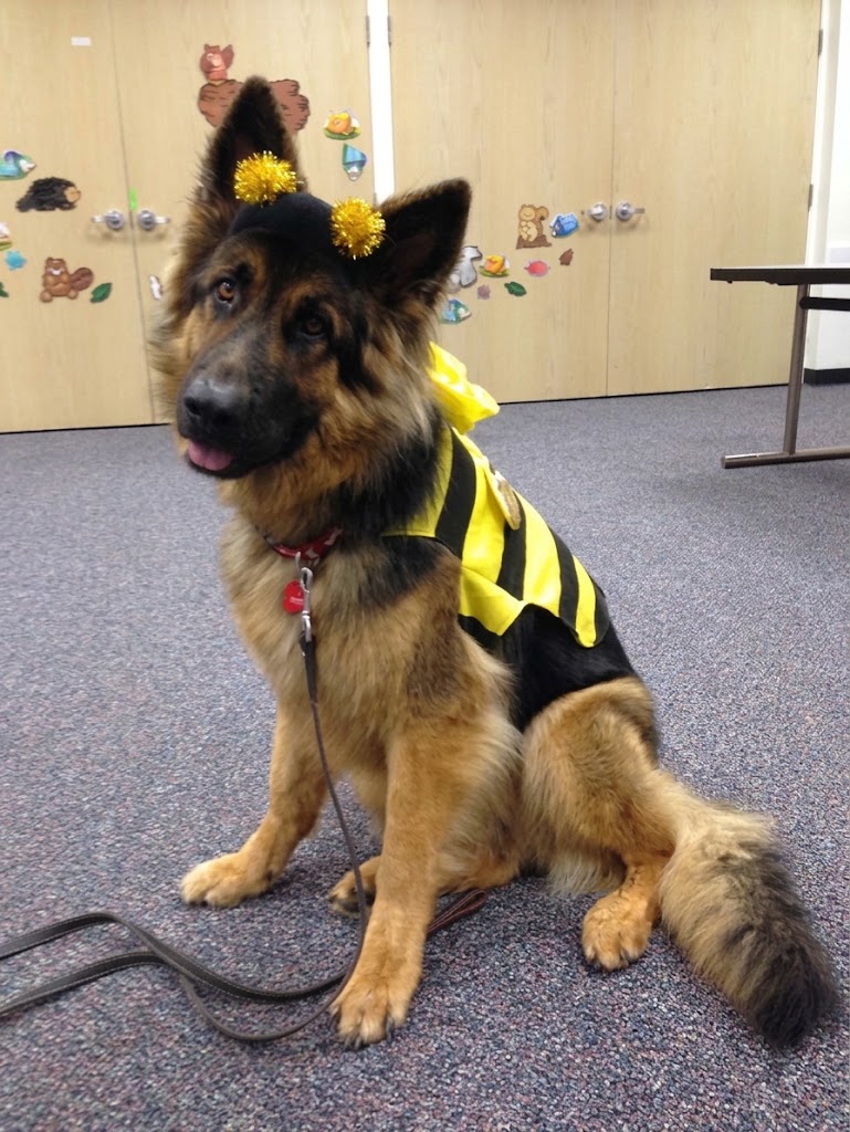 AI-generated image of Hera in a black and yellow bumblebee costume with wings