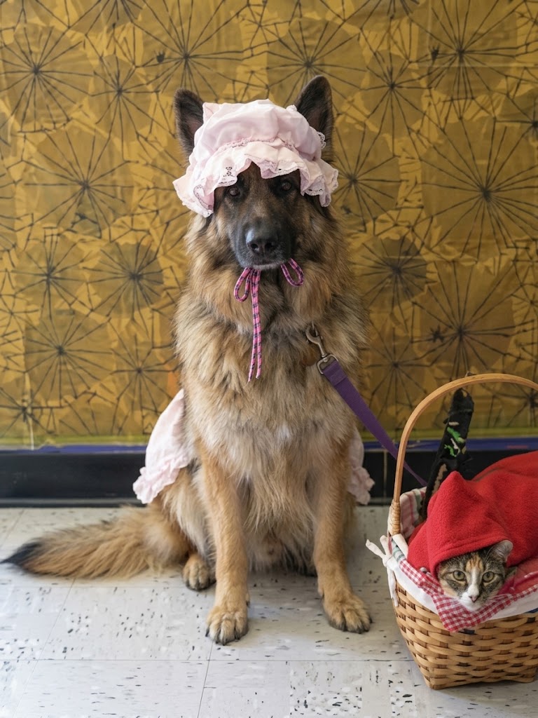 AI-generated image of Hera in a red riding hood cape carrying a basket