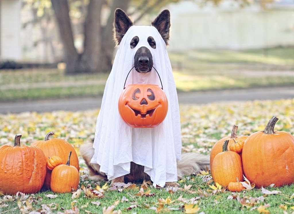 AI-generated image of Hera in a white ghost sheet holding a pumpkin bucket